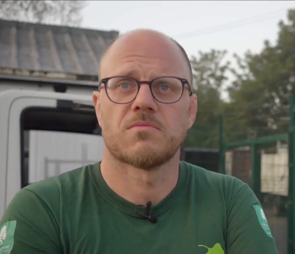 tom-boswell-tom-boswell-trees